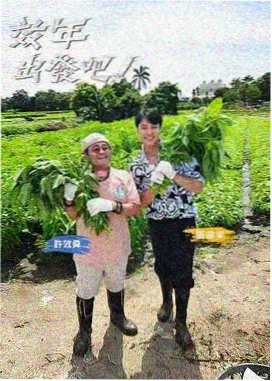 大地影视中文资源6 综艺娱乐 乘风破浪第五季